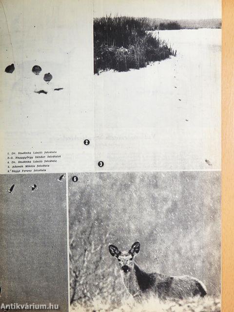 Nimród 1975. február