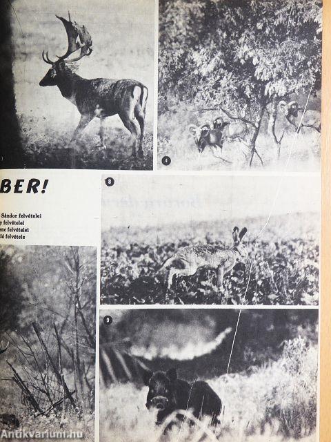 Nimród 1975. október