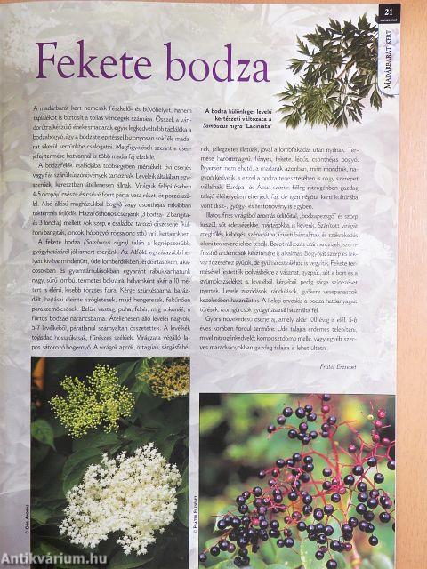 Madártávlat 2004. július-augusztus