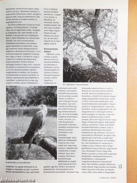 Madártávlat 2004. március-április