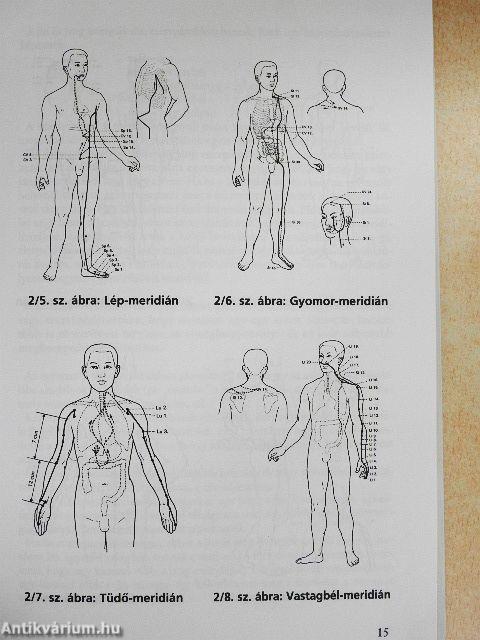 Gondolattól a szülésig