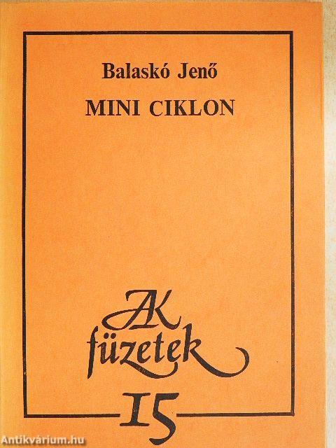 Mini ciklon
