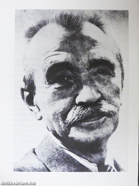 A magyar irodalom története a XX. században