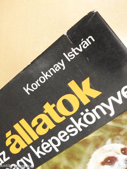 Az állatok nagy képeskönyve