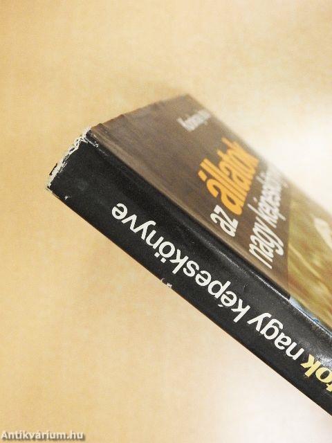 Az állatok nagy képeskönyve