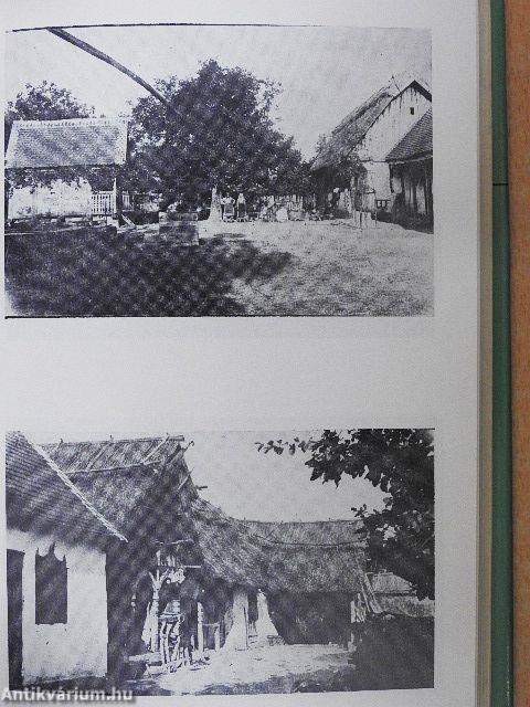 Szlavóniai hétköznapok