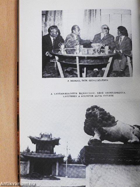 Az Arany-Góbi kősivatagában