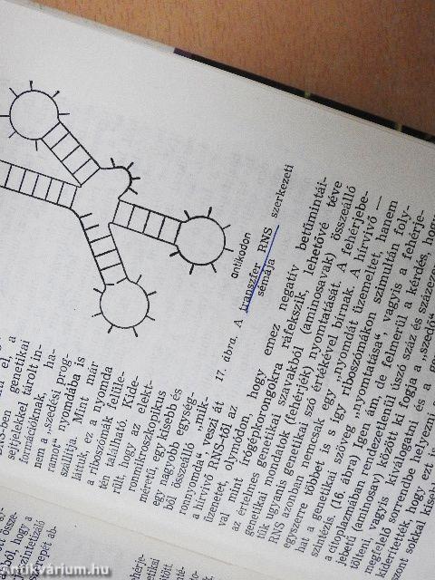 A természet nyomdája