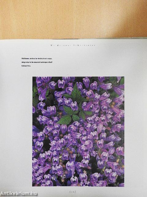 The National Parks of Canada