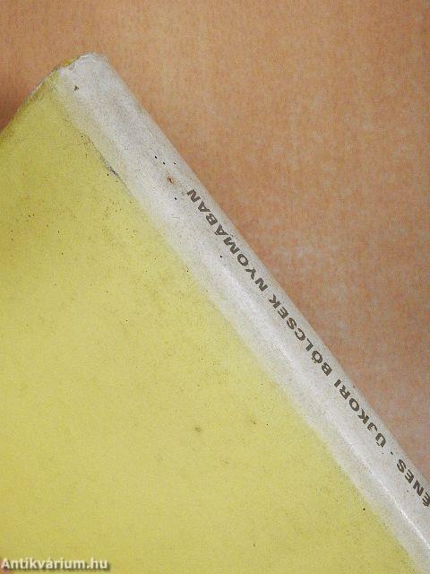 Újkori bölcsek nyomában