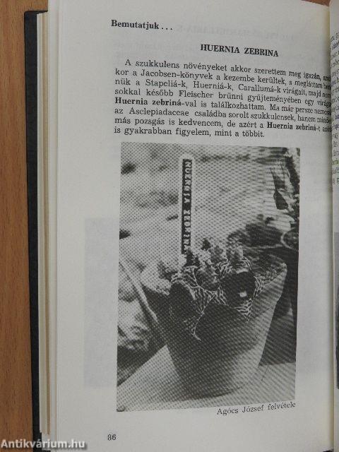 Kaktusz-világ 1985/1-4., 1986/3-4.