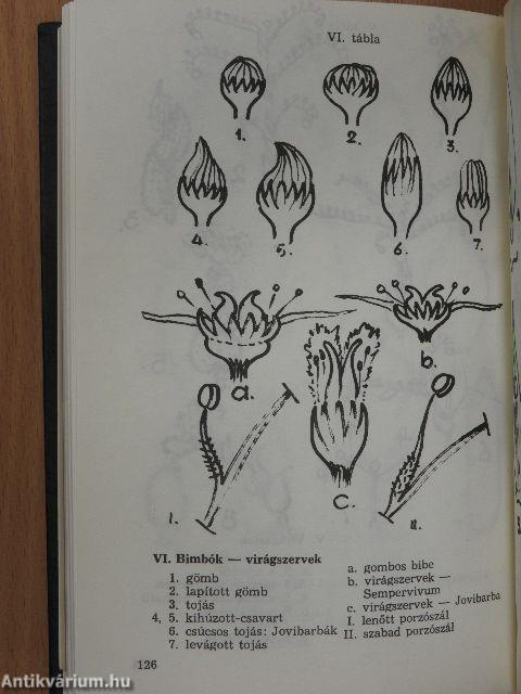 Kaktusz-világ 1985/1-4., 1986/3-4.