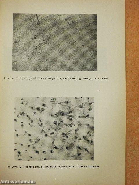 A Magyar Tudományos Akadémia Orvosi Tudományok Osztályának közleményei 1952/1-4.