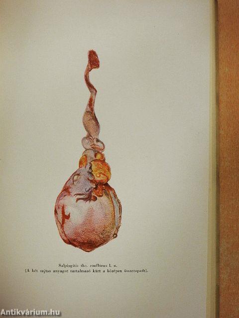 A Magyar Tudományos Akadémia Orvosi Tudományok Osztályának közleményei 1952/1-4.