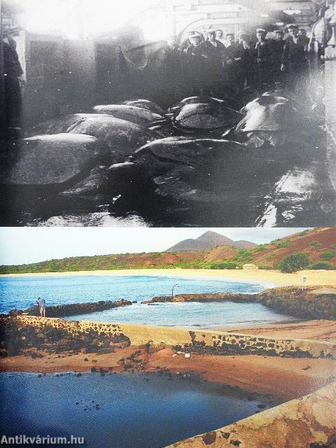 Britain's Treasure Islands