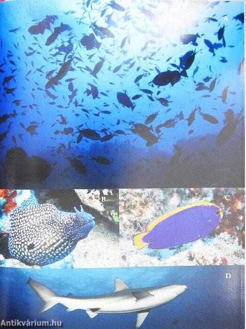 Britain's Treasure Islands