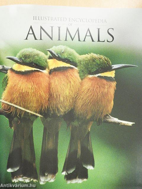 Illustrated Encyclopedia of Animals