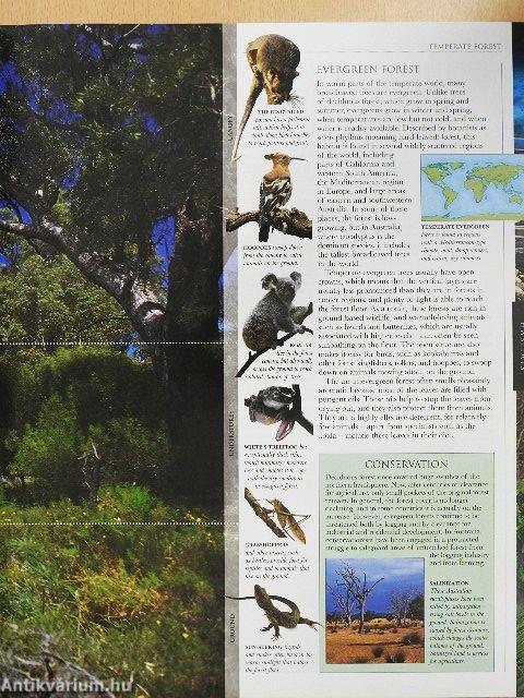 Illustrated Encyclopedia of Animals