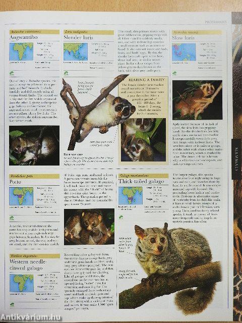 Illustrated Encyclopedia of Animals