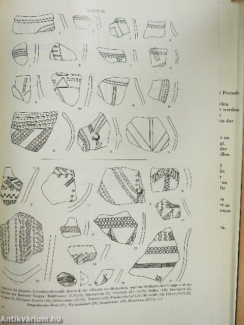 Wirtschaft und Kultur der Stichbandkeramiker im Saalegebiet