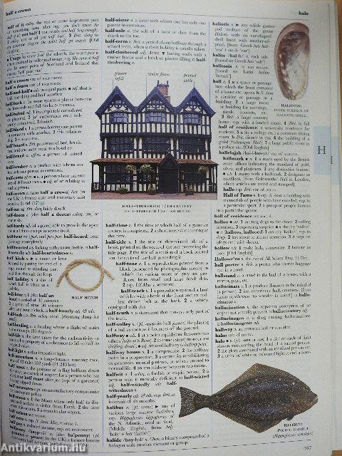 Illustrated Oxford Dictionary