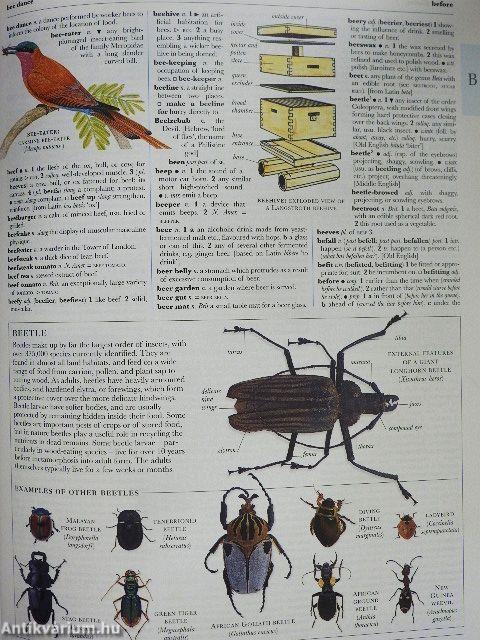 Illustrated Oxford Dictionary