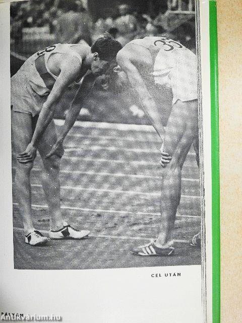 Sportpályák foglyai