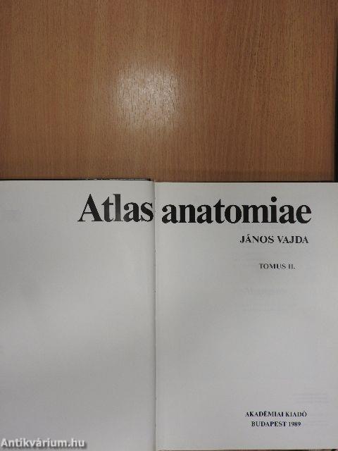 Atlas anatomiae II. (töredék)