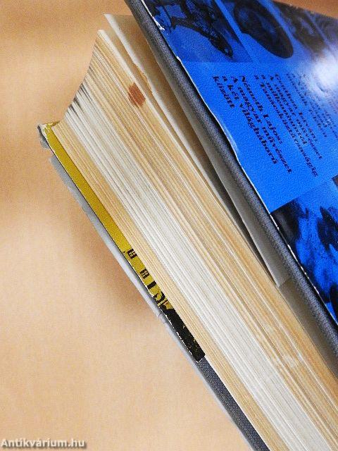 A magyarországi művészet története I.