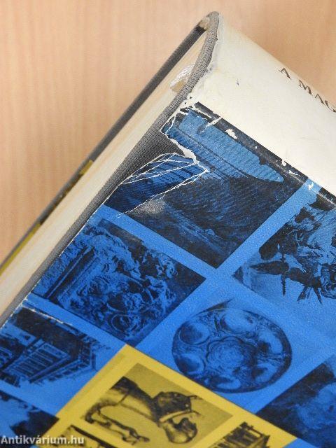 A magyarországi művészet története I.