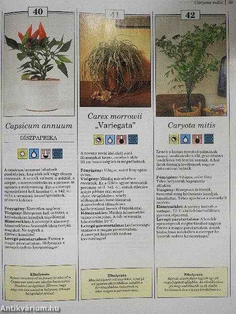 200 kedvelt szobanövény termesztése és ápolása