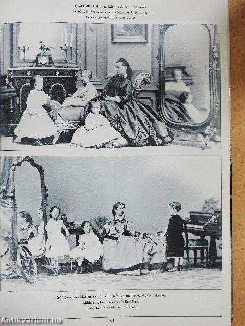 Kastélyok és mágnások