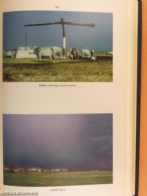 Révai új lexikona 1-18.