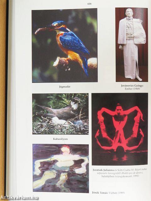 Révai új lexikona 1-18.