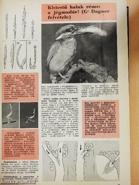 Magyar Horgász 1980-1981. január-december