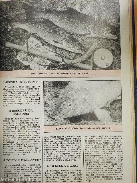 Magyar Horgász 1991-1992. január-december