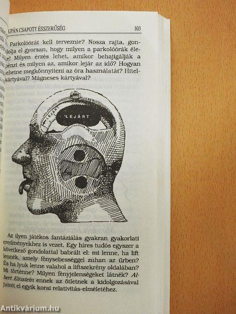 Kupán csapott ésszerűség