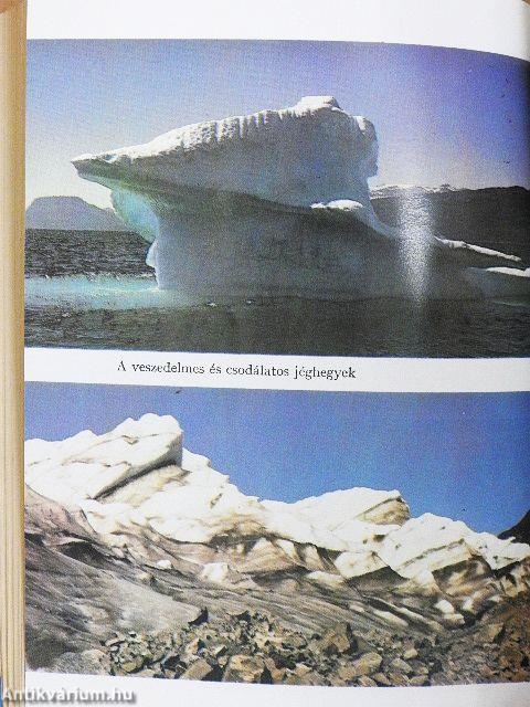 Most már eszkimó vagy!