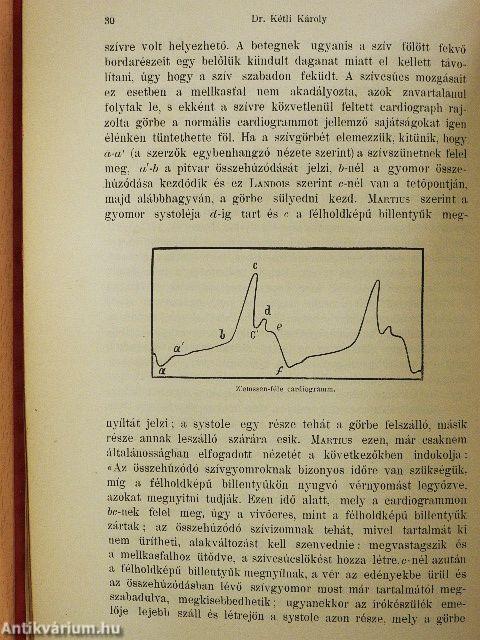 A belgyógyászat kézikönyve IV.