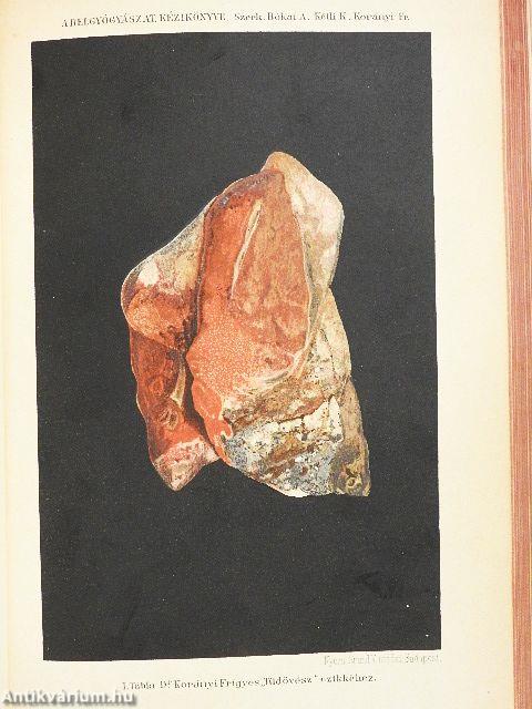 A belgyógyászat kézikönyve IV.