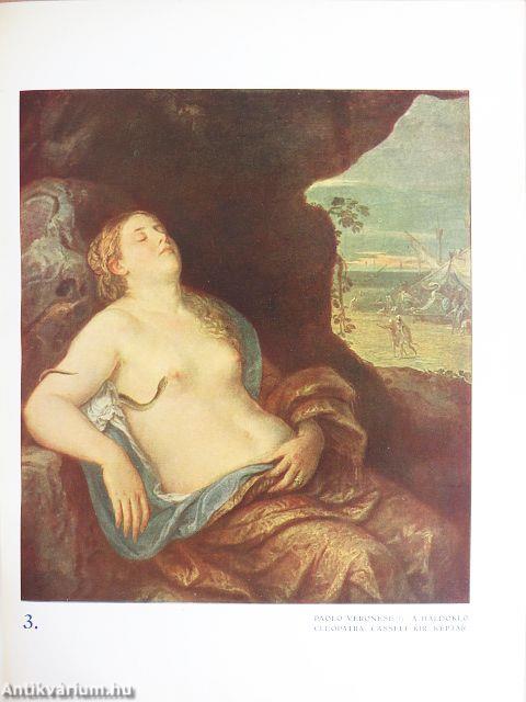 A női szépség a festőművészetben