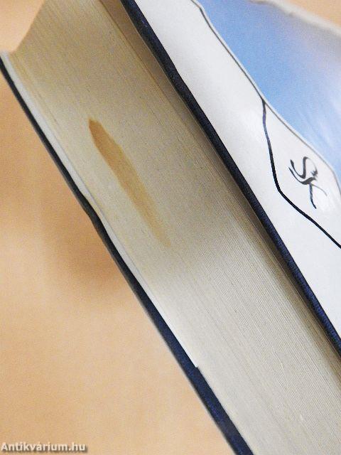 Az utolsó gavallér