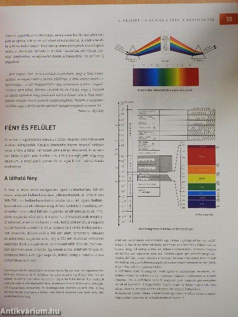 A szín mindennapi életünk környezetkultúrájában