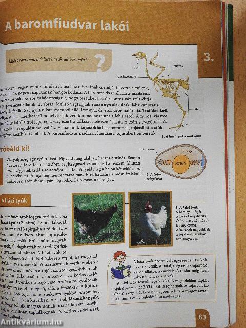 Természetismeret 5.