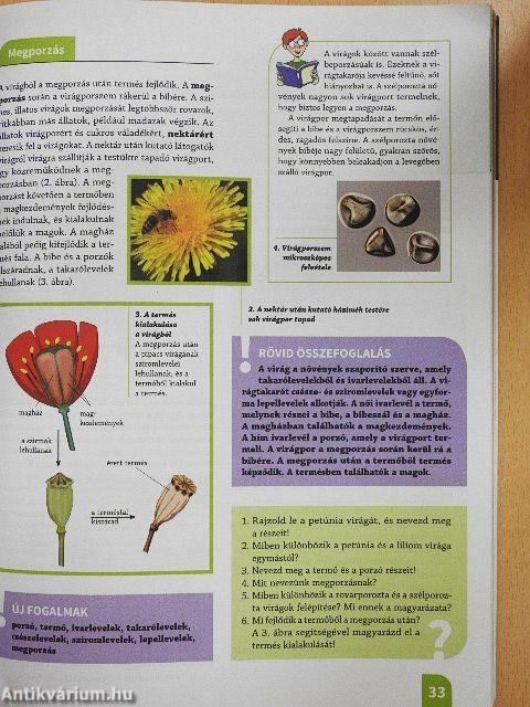 Természetismeret 5.