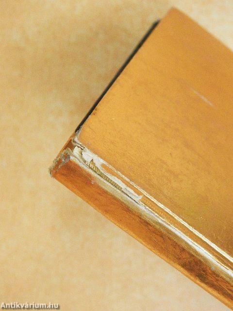 Venise/Venedig/Venice