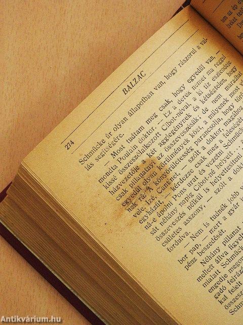 Egy szegény ifju története/Pons bácsi