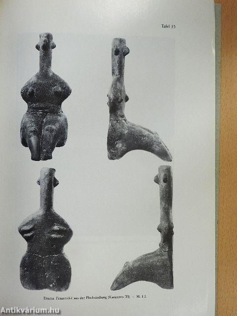 Bericht über die bulgarisch-deutschen Ausgrabungen in Drama (1983-1988)