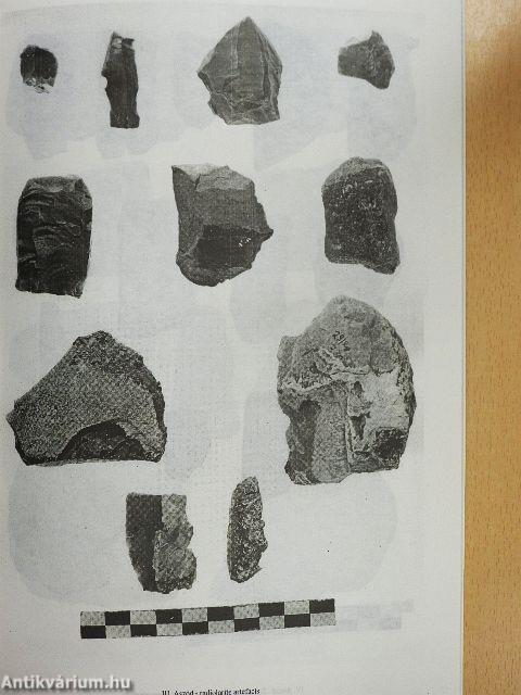 Lithic Implements and the Circulation of Raw Materials in the Great Hungarian Plain During the Late Neolithic Period