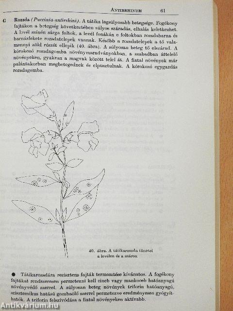 Dísznövények gyógyítása